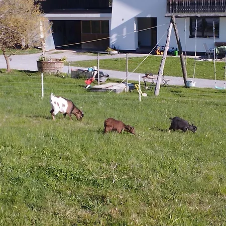 Appartamento Haus Abendrot Dornbirn