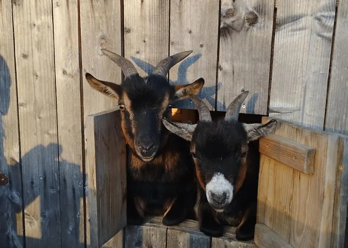 Haus Abendrot Appartement Dornbirn